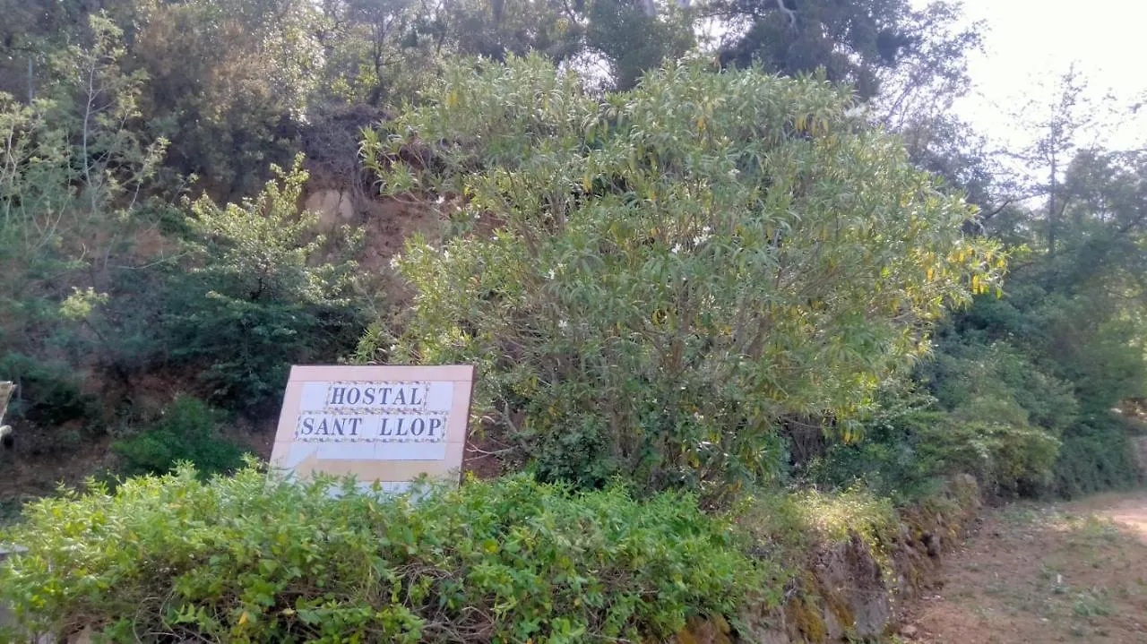New Hostal Sant Llop Tordera Han/Misafirhane
